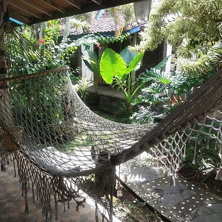 Comeback Guesthouse Canggu Extérieur photo