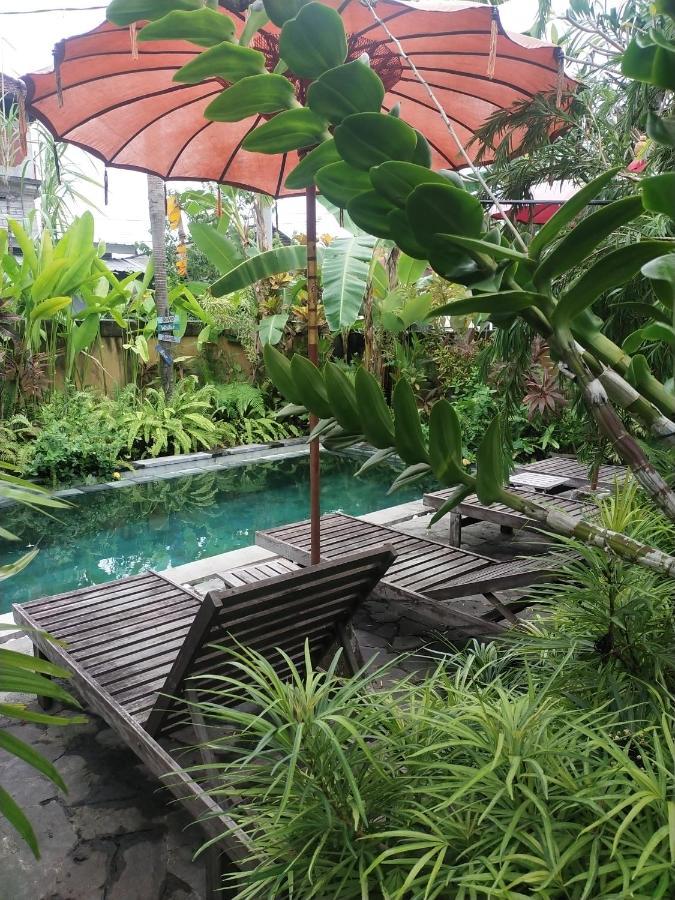 Comeback Guesthouse Canggu Extérieur photo
