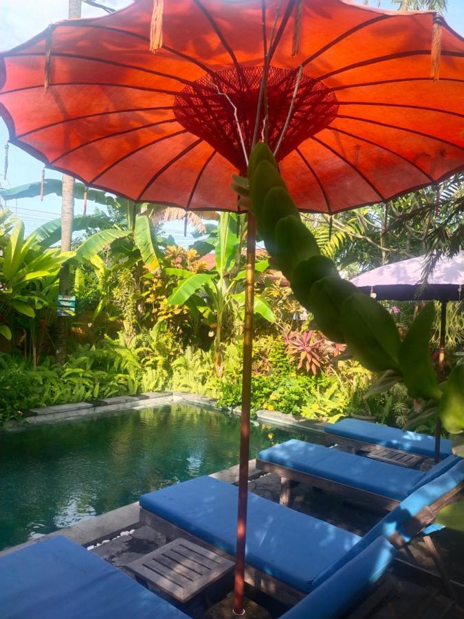 Comeback Guesthouse Canggu Extérieur photo