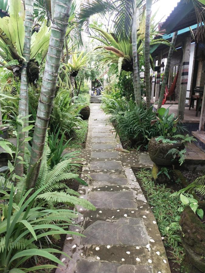 Comeback Guesthouse Canggu Extérieur photo