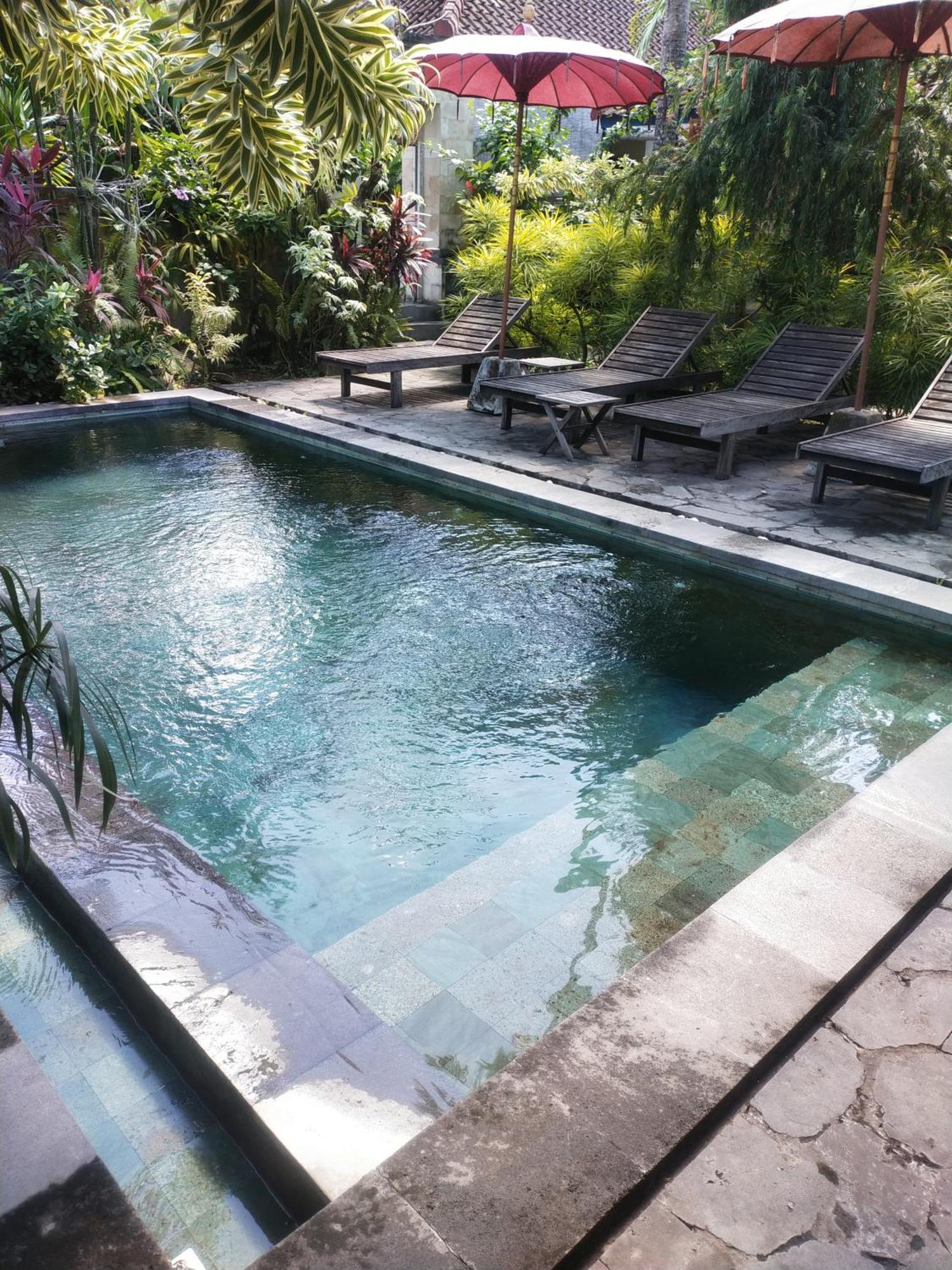 Comeback Guesthouse Canggu Extérieur photo