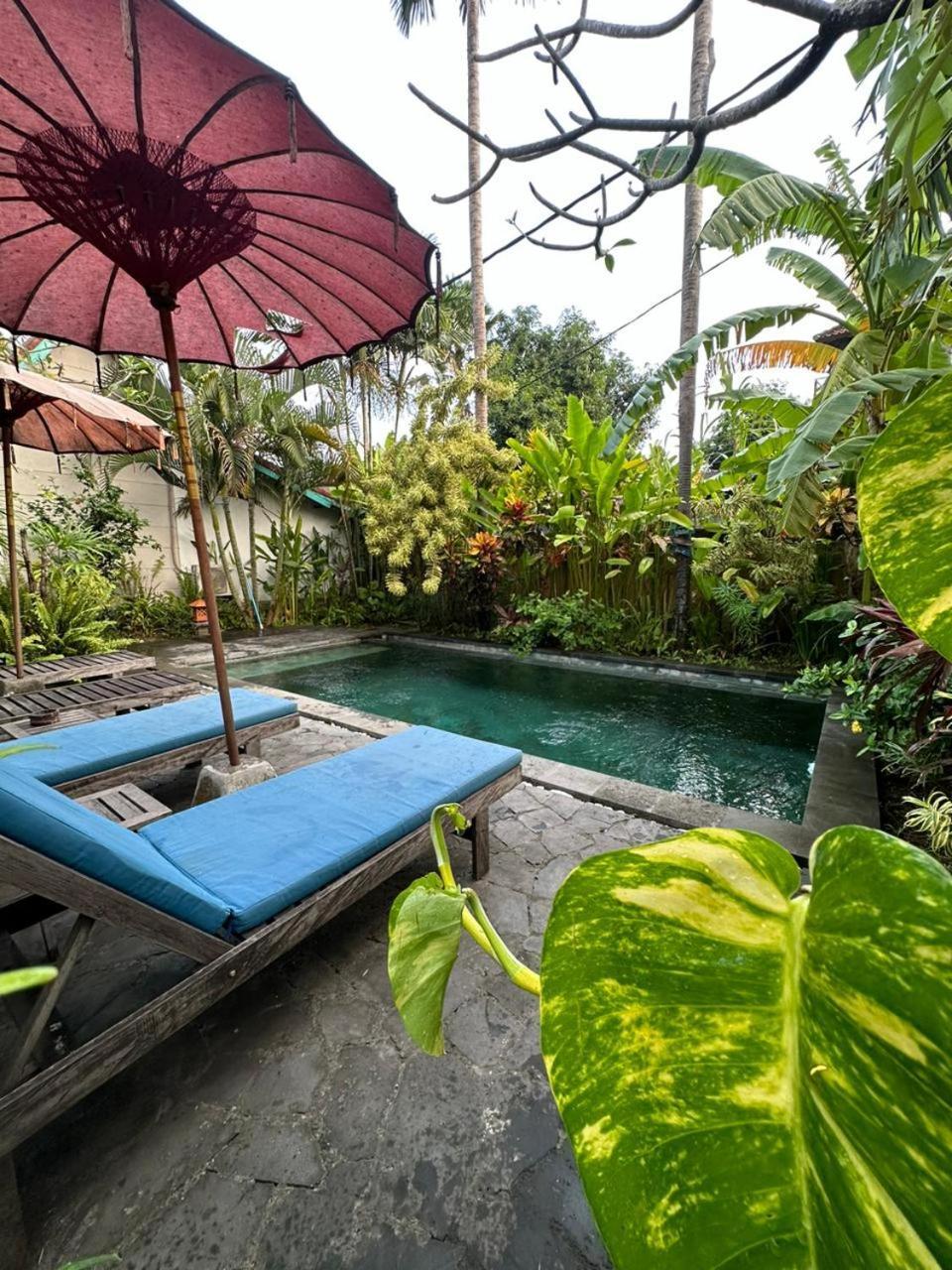 Comeback Guesthouse Canggu Extérieur photo