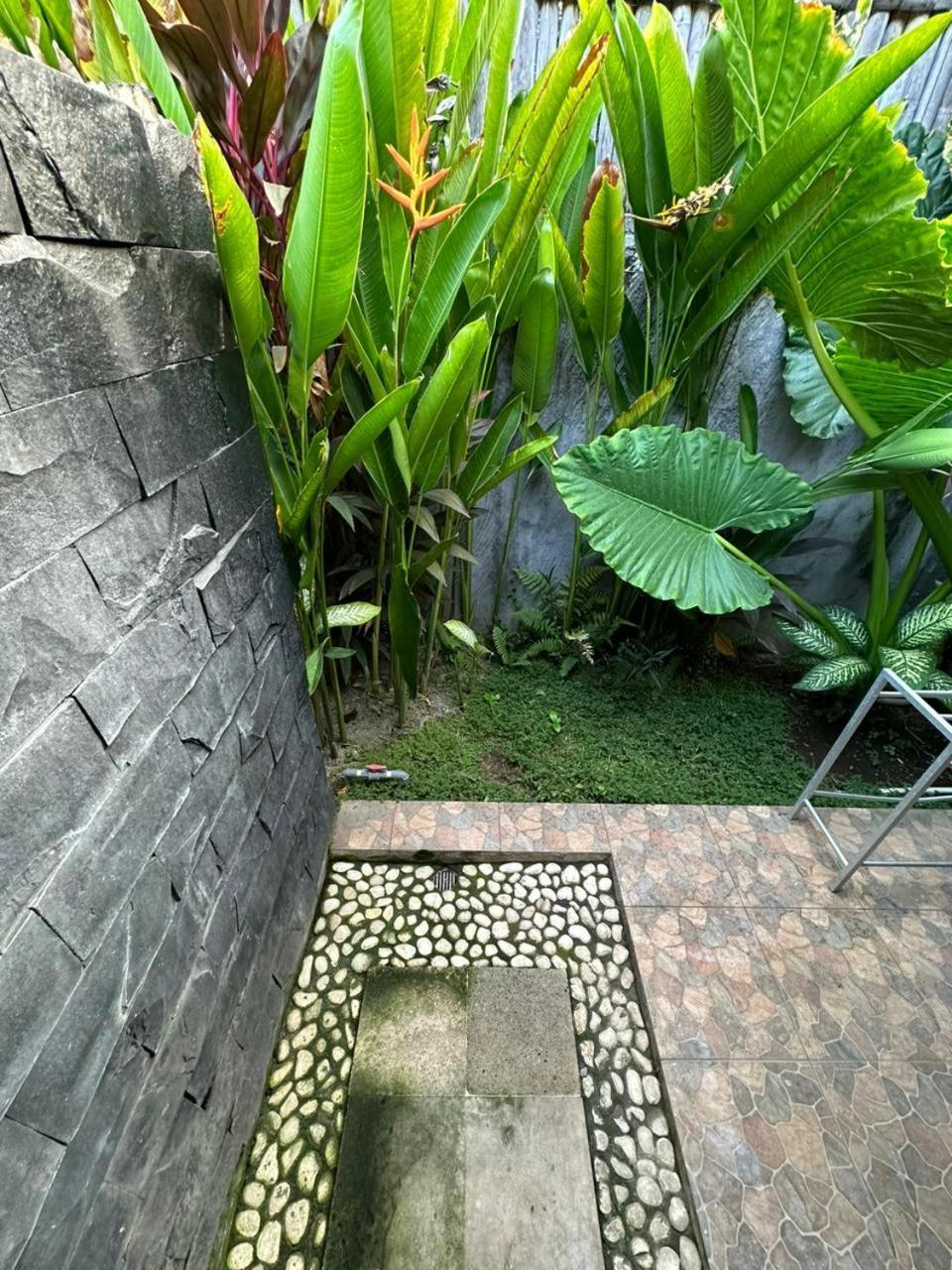 Comeback Guesthouse Canggu Extérieur photo