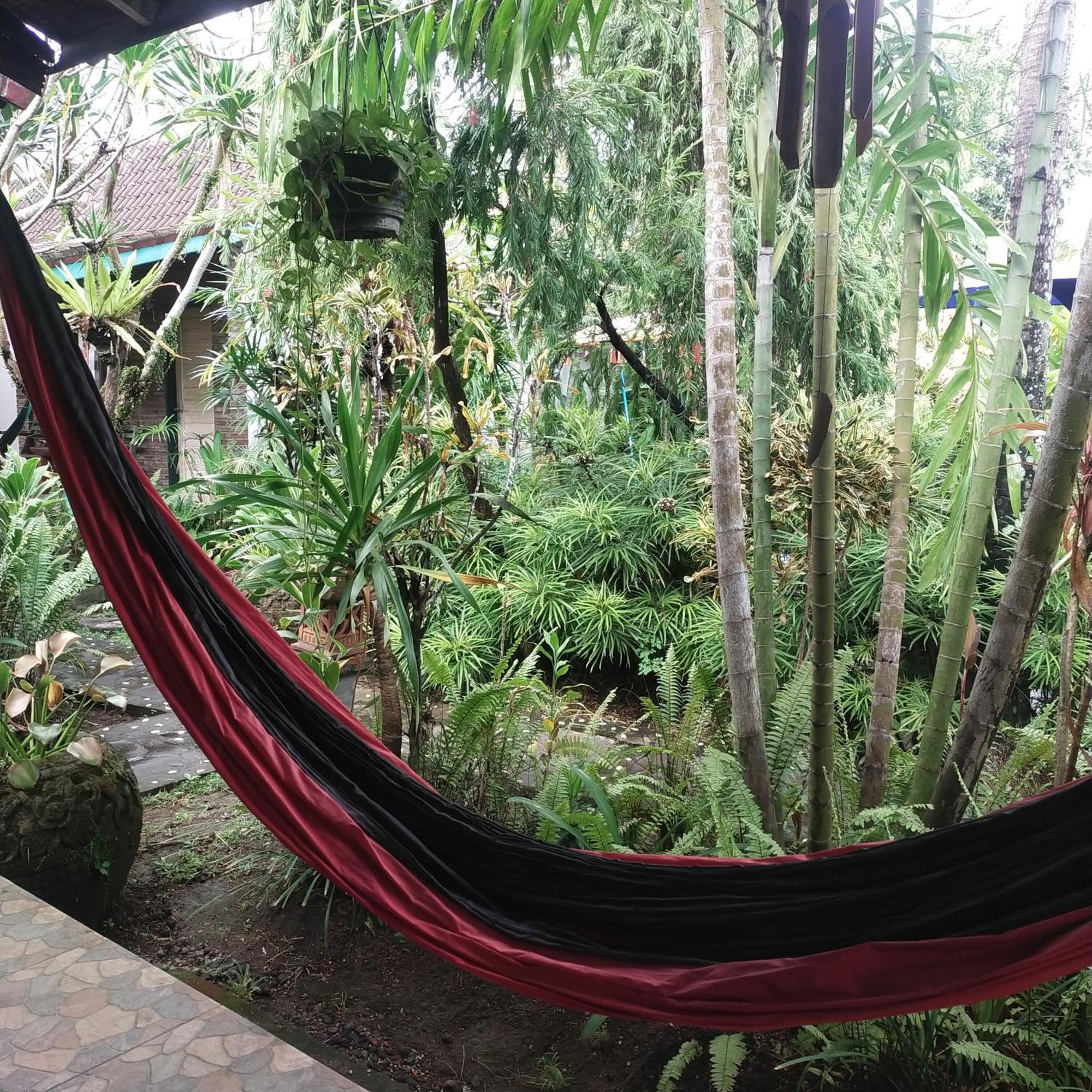 Comeback Guesthouse Canggu Extérieur photo